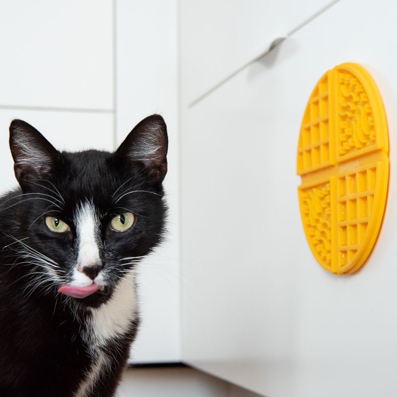 Waffle Licking Mat 19.5 x 1cm (Diameter x H)