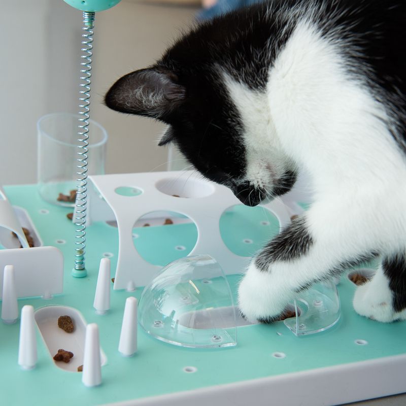 Slo-Mo Cat Toy 1 Toy