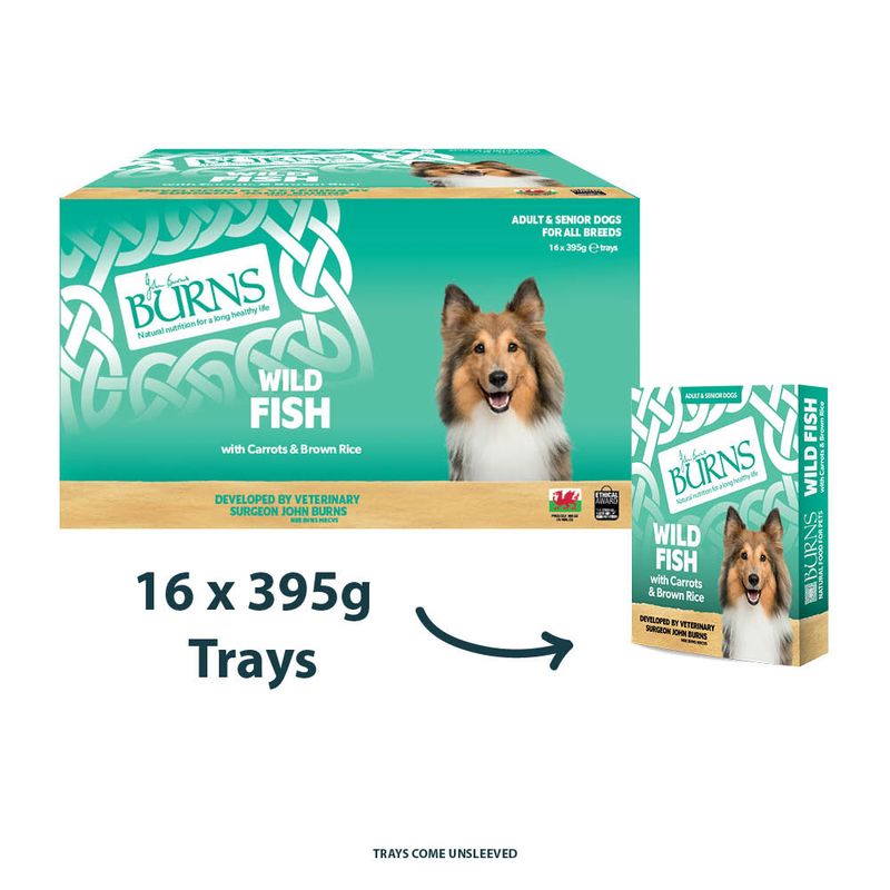 Burns Wet Food for Dogs 16 x 395g Chicken