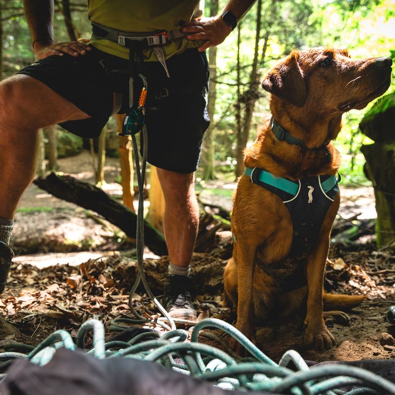 Ruffwear Flagline Dog Harness - Basalt Grey Size S: 56 - 69cm Chest Circumferance