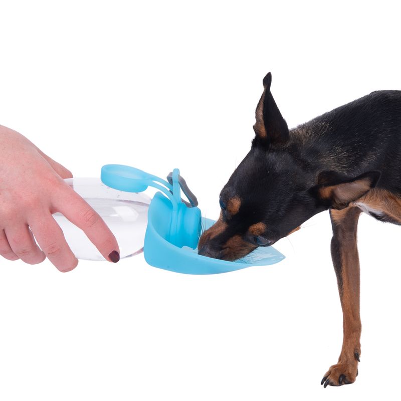 Smartpet Travel Drinking Bottle 500ml, blue