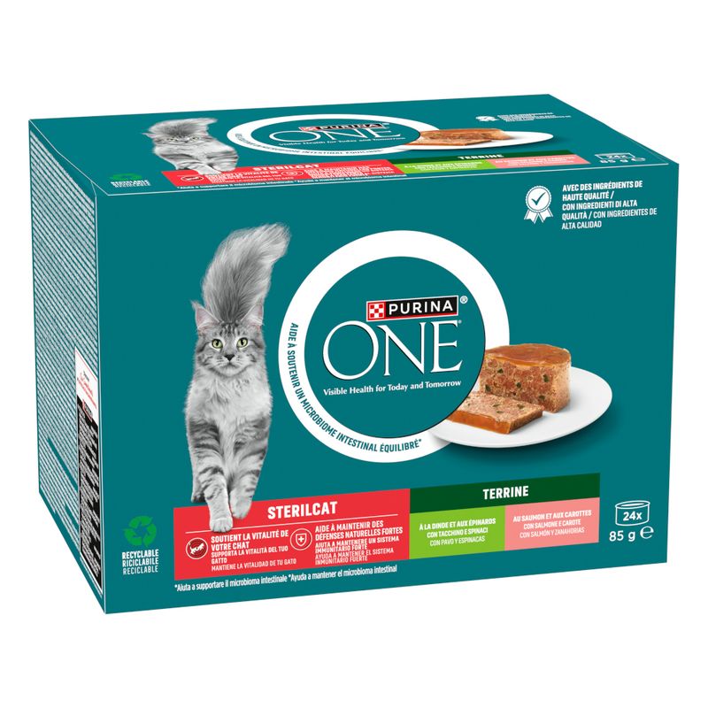 PURINA ONE SterilCat with Salmon & Carrots (13 x 85g)