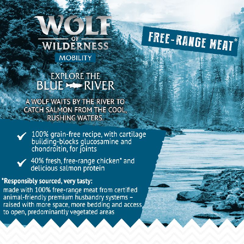 Wolf of Wilderness \