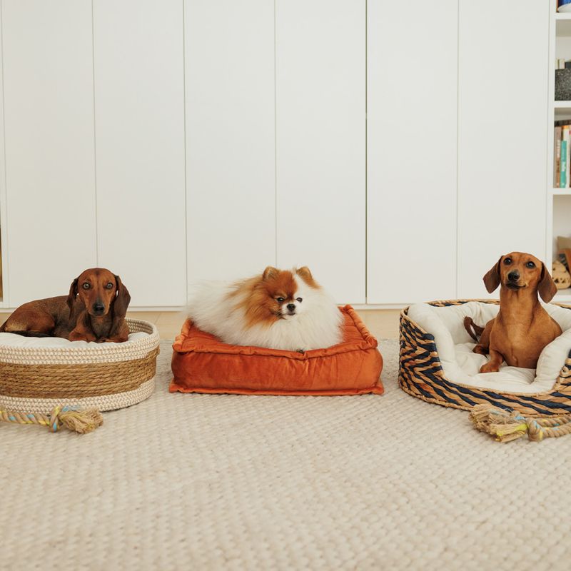 Modern Living Menorca Knot with Loop Rope Toy approx. 40 x 6 x 6 cm (L x W x H)