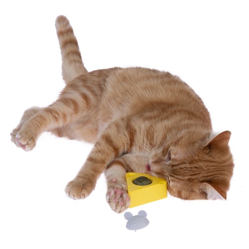 TIAKI cat toy catnip cheese 6.5 x 6.3 x 4.6 cm