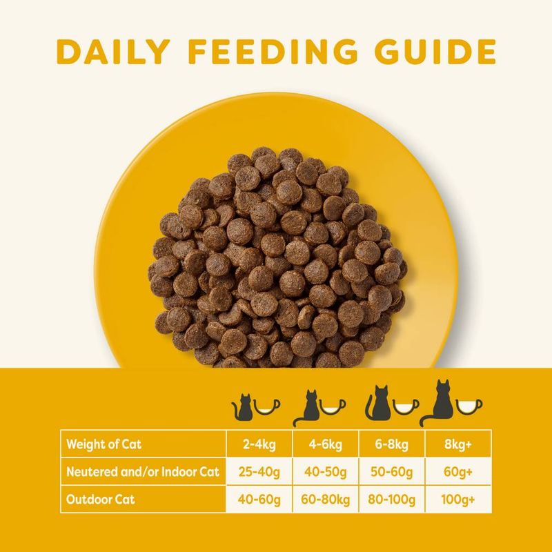 Applaws Adult Chicken & Duck Cat Food 400g