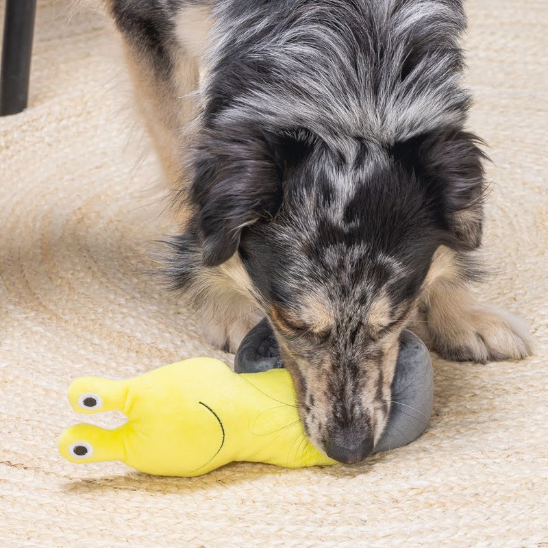 Beeztees Snail Dog Toy 1 Toy