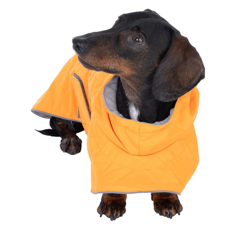 TIAKI Saffron Dog Raincoat Back length: 35cm