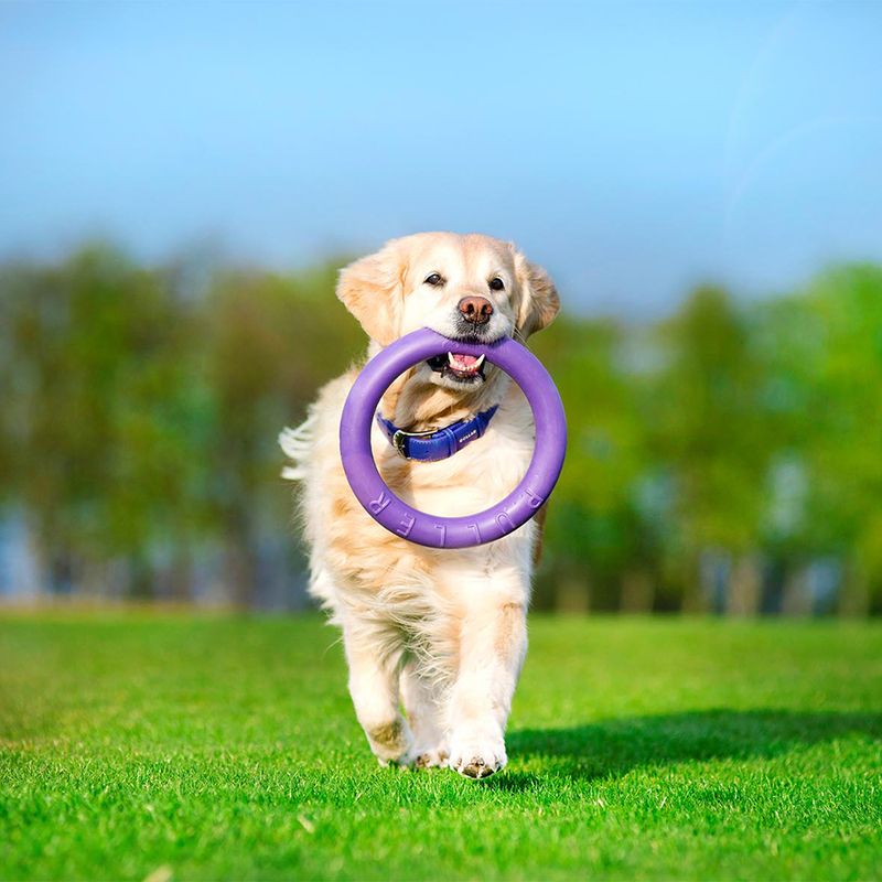 Ferplast Puller Dog Toy Midi: 19cm (Ø)