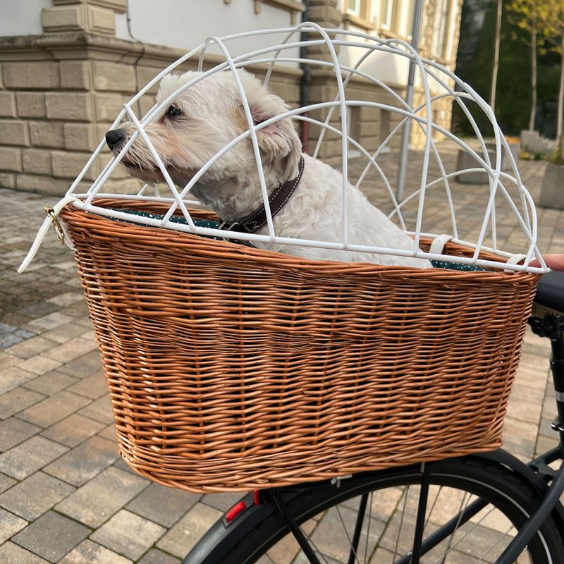 Aumüller Bicycle Basket with Protective Wire for Luggage Rack 56 x 36 x 50 cm (L x W x H)