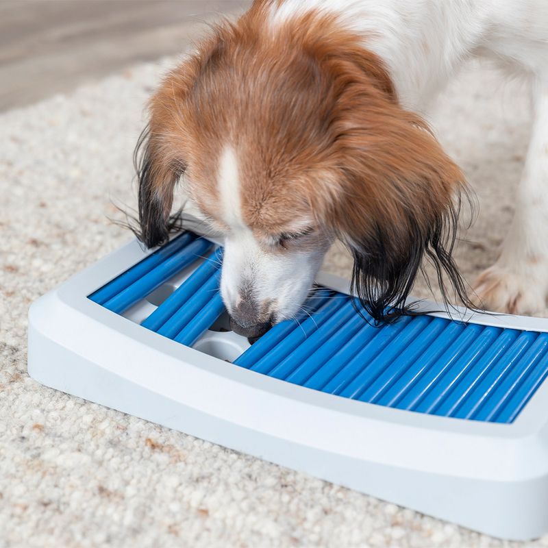 Trixie Activity Stick Game Rod Board 35 x 19.5cm (L x W)