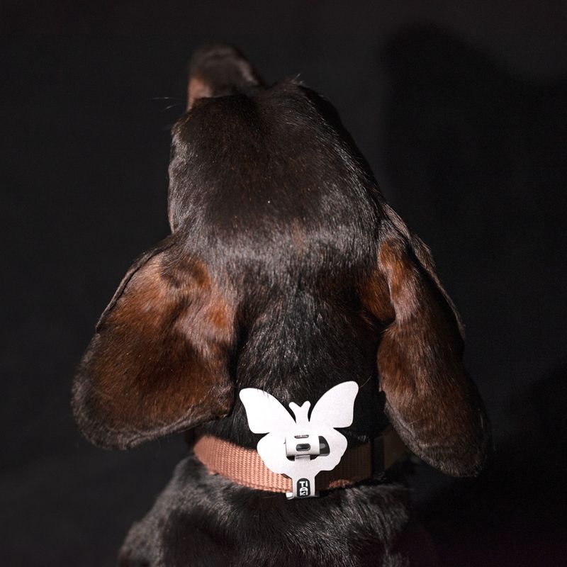 TIAKI Reflective Figures Set 3-Piece Set