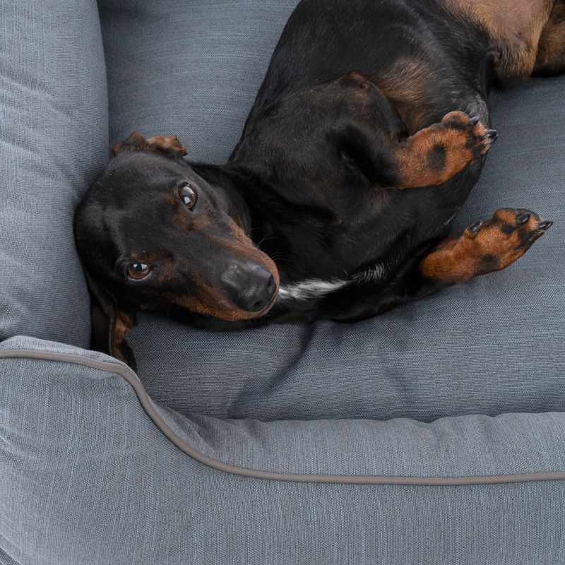 Modern Living Skara Dog Bed - Dark Grey Size M: 100 x 70 x 21 cm (L x W x H)