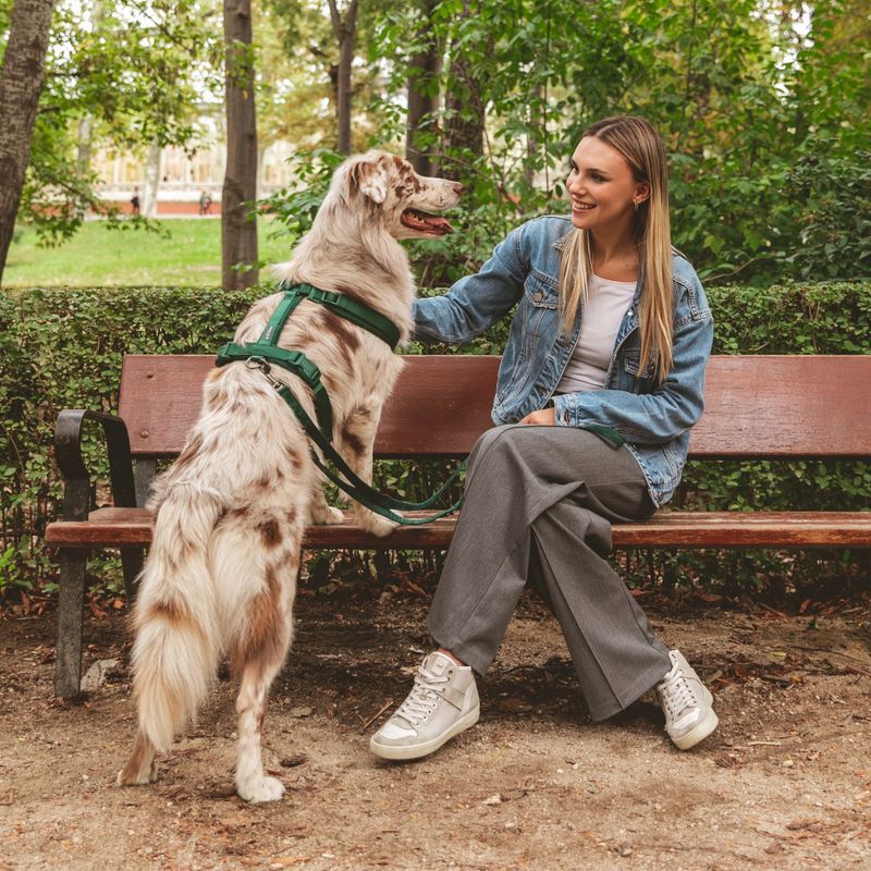 Nomad Tales Blush Harness - Emerald Size XS: 34 - 49 cm chest circumference, W 15 mm