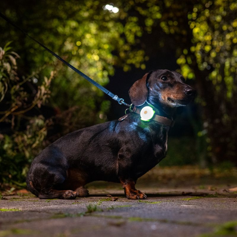 Nomad Tales Bloom USB Light Pendant Green