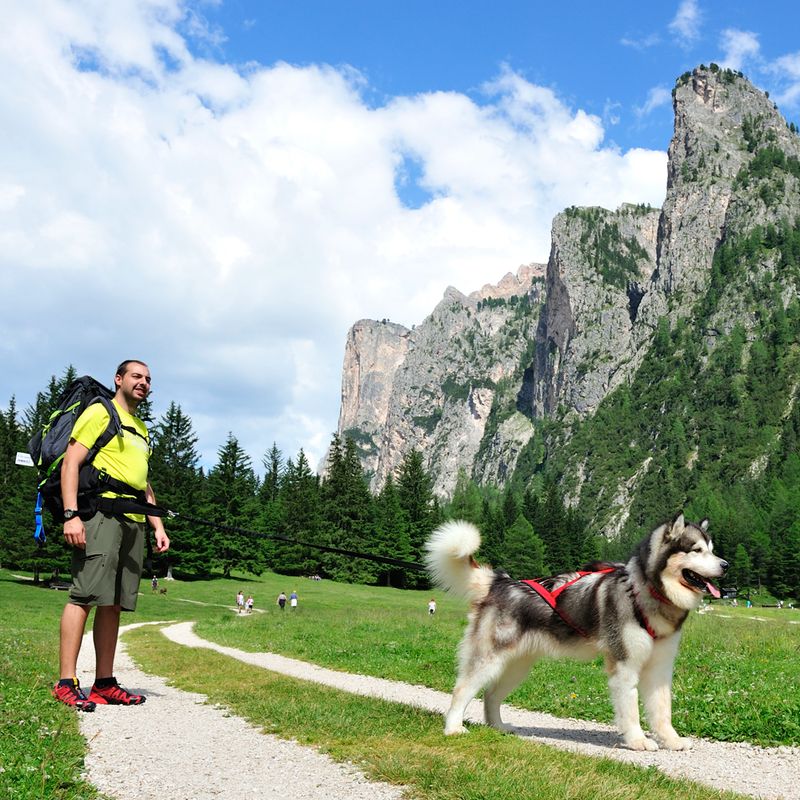 NEEWA Bungee Line Lead 150cm