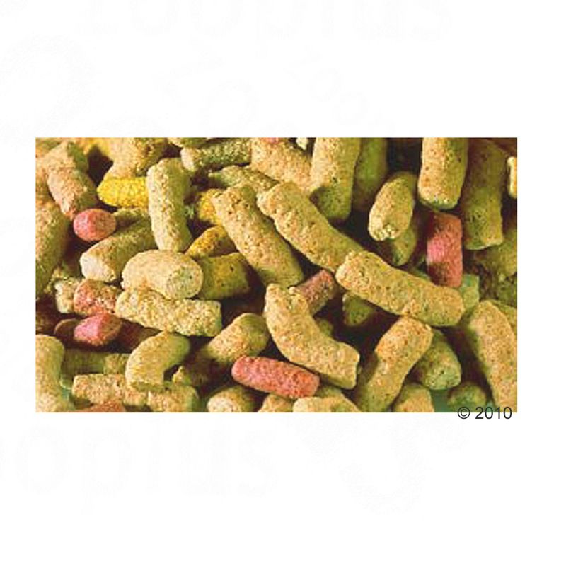 Sera Raffy P Nature 3800ml