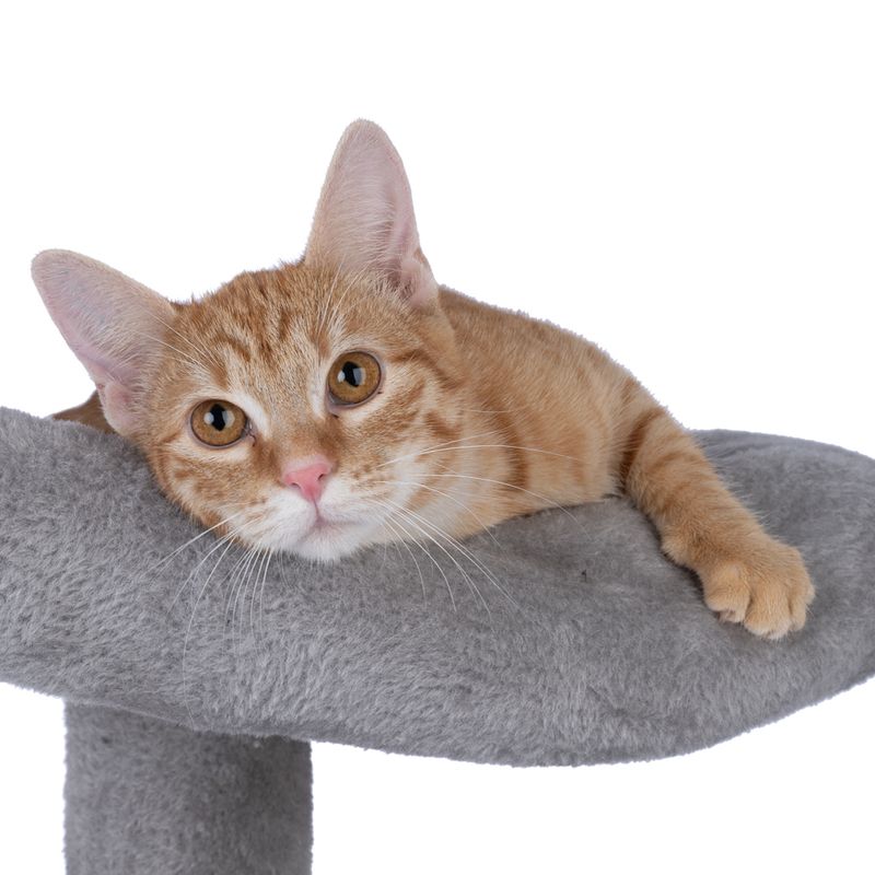 zooplus Basics Scratching Tree - Large Grey