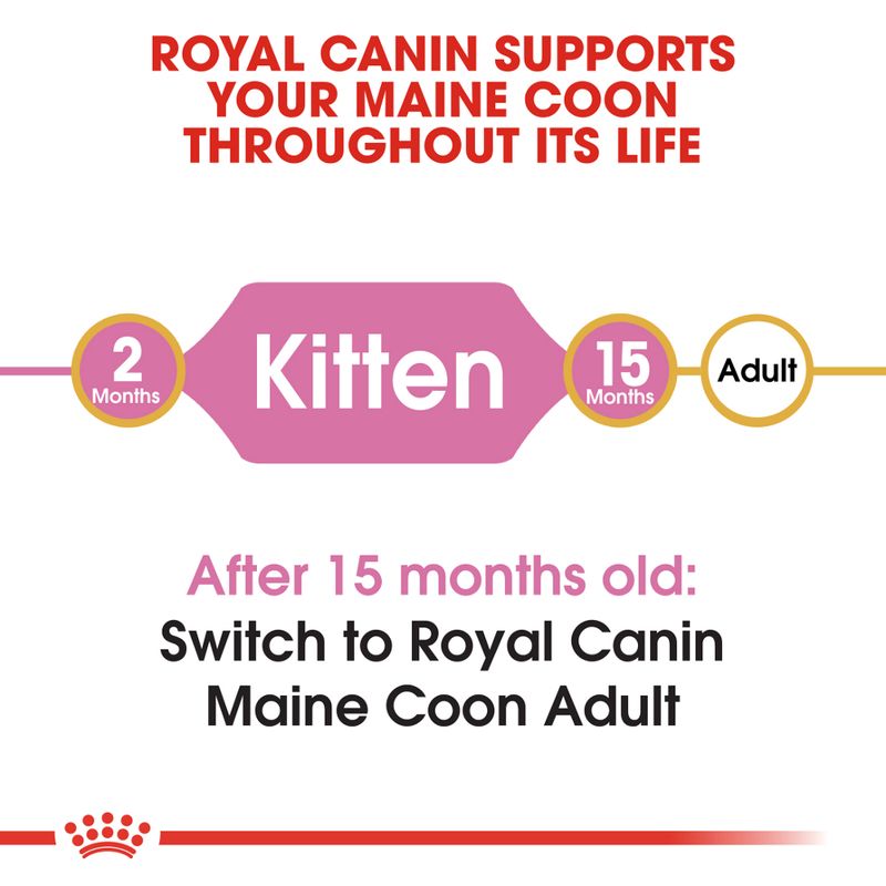 Royal Canin Maine Coon Kitten 4kg