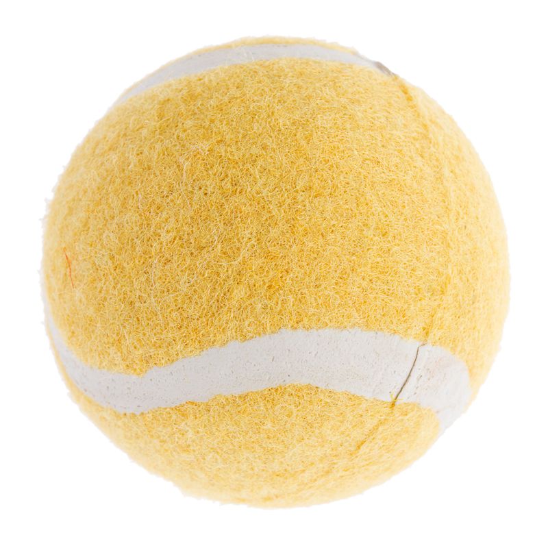 TIAKI Tennis Ball Set Set of 4 (approx. diameter 5cm)