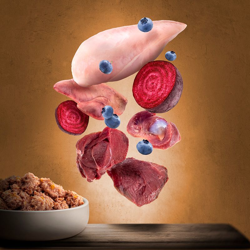 Purizon Adult 6 x 400g Mixed Pack (3 varieties)