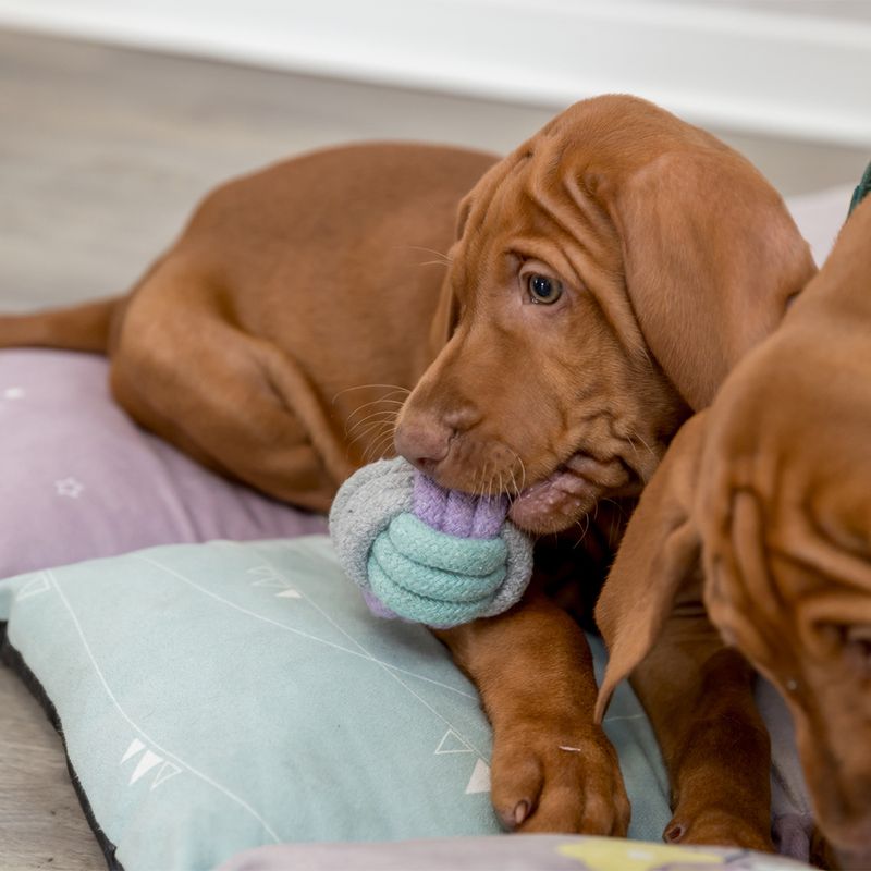 Trixie Junior Rope Knot Ball 6cm diameter