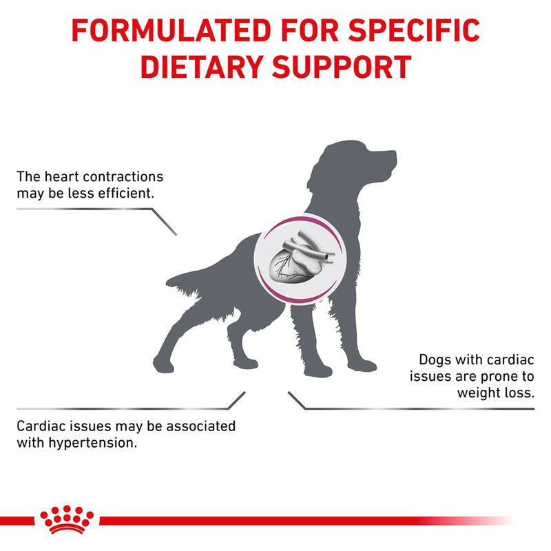 Royal Canin Veterinary Dog - Cardiac Loaf 12 x 410g
