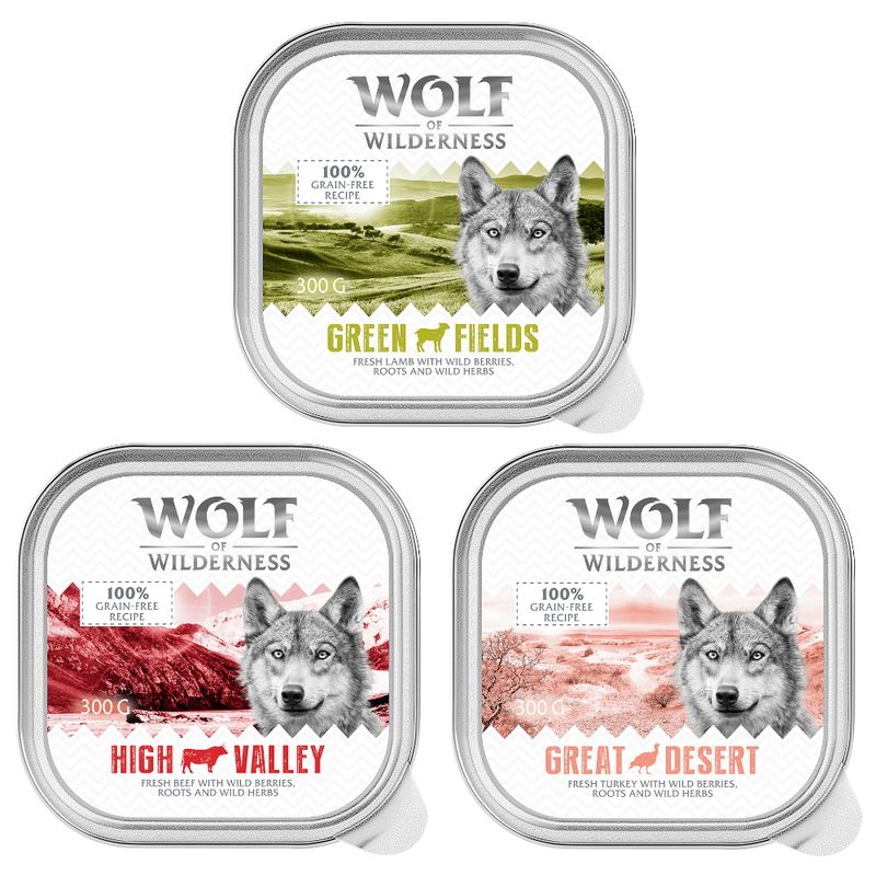 Wolf of Wilderness Adult Saver Pack 24 x 300g High Valley - Beef