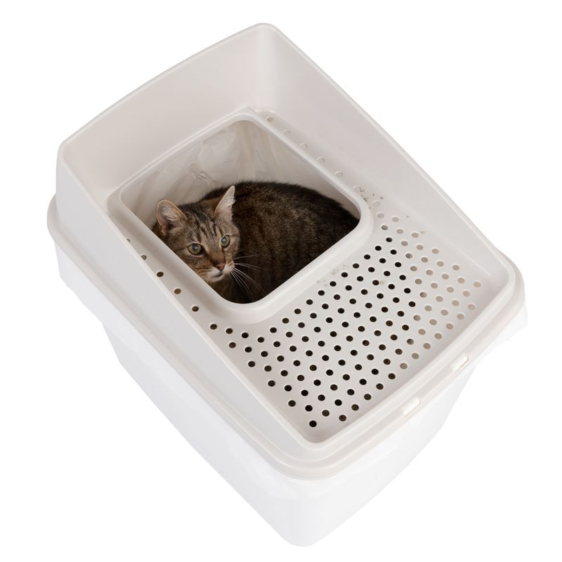 Big Box Cat Litter Tray White
