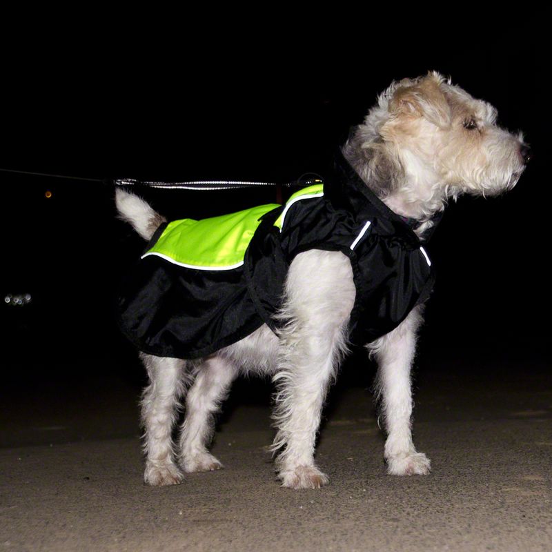 Dog Coat Illume Nite Neon approx. 35cm Back Length