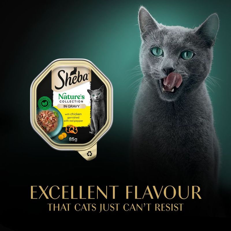 Sheba Nature’s Collection in Sauce 22 x 85g Chicken