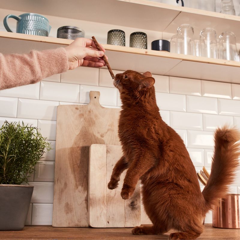 GimCat Sticks Poultry (10 Sticks)