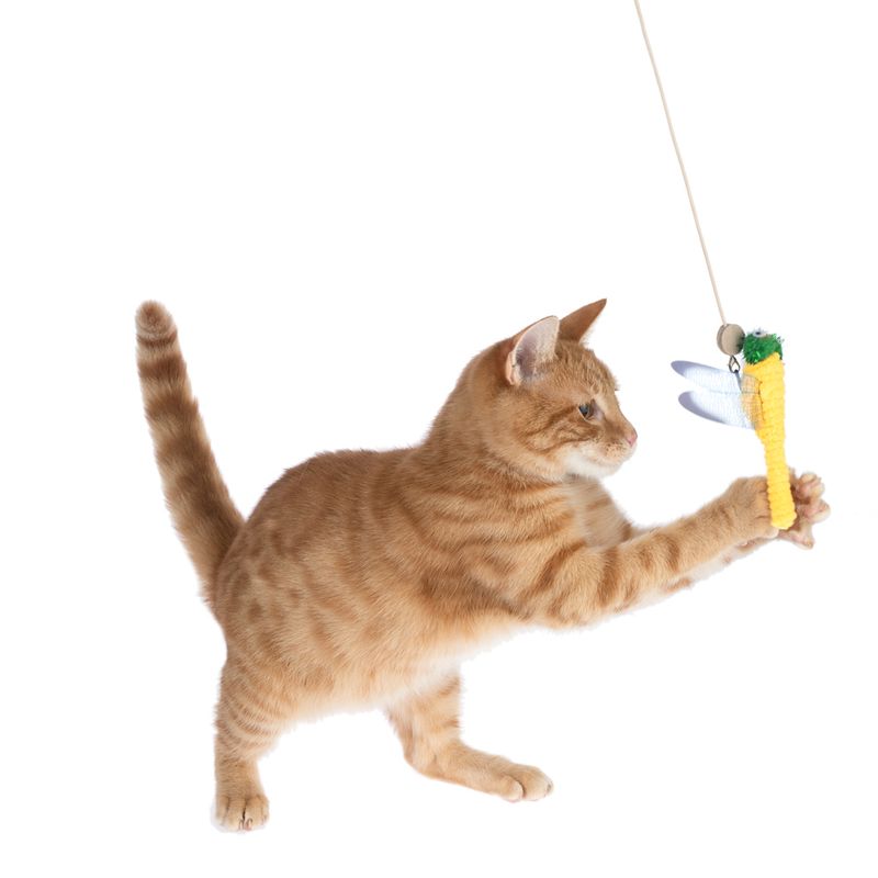 TIAKI Dragonfly Cat Dangler Toy with LED Pointer 1 Dangler Toy