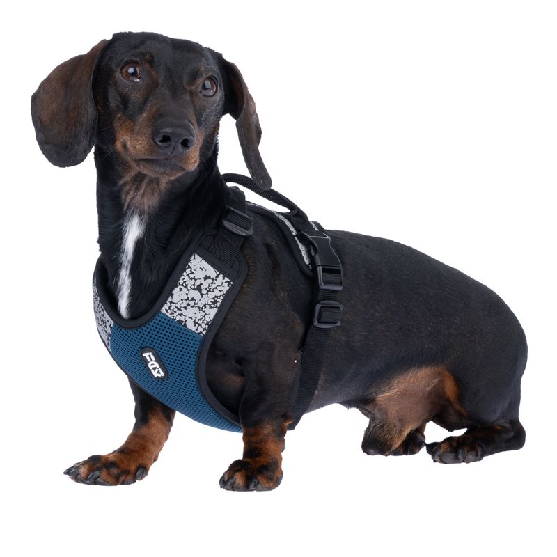 TIAKI Reflective Harness Size XS: approx. 33 - 40 cm Chest Circumference
