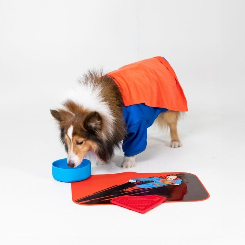 Warner Bros™ DC Superman Placemat 45 x 30 x 0.2 cm (L x W x H)