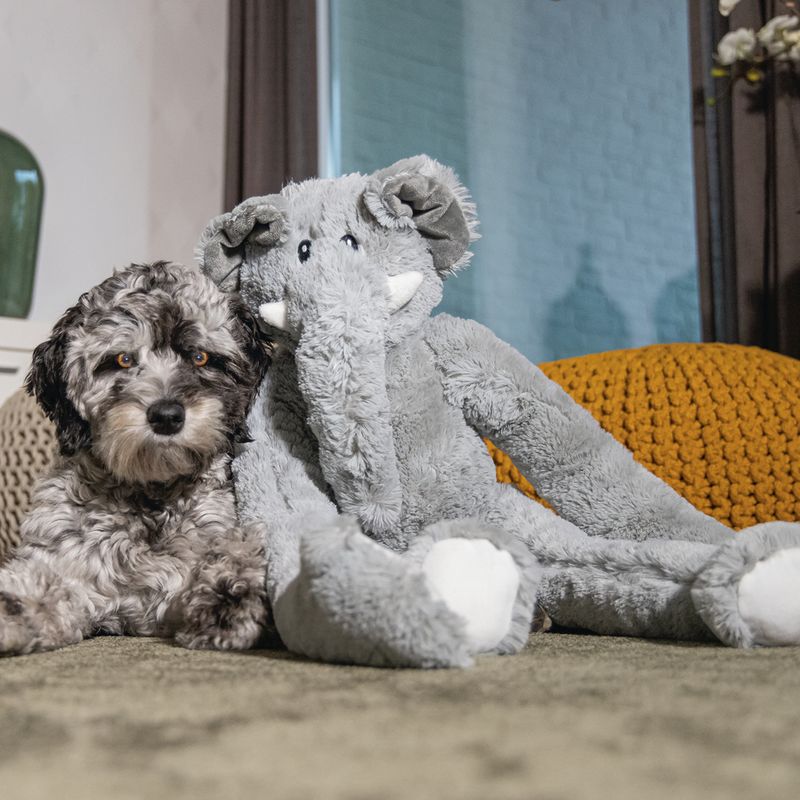 Beeztees James Elephant Dog Toy 1 Toy