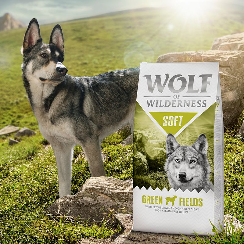 Wolf of Wilderness Soft “Green Fields” - Lamb 1kg