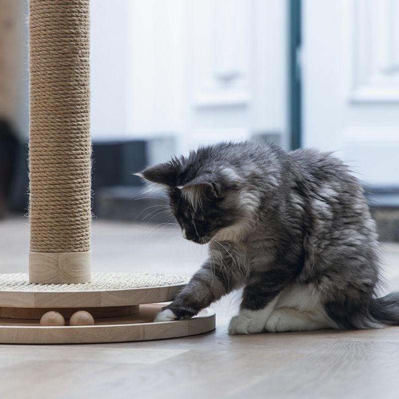 Designed by Lotte Zavi Wooden Scratching Post brown