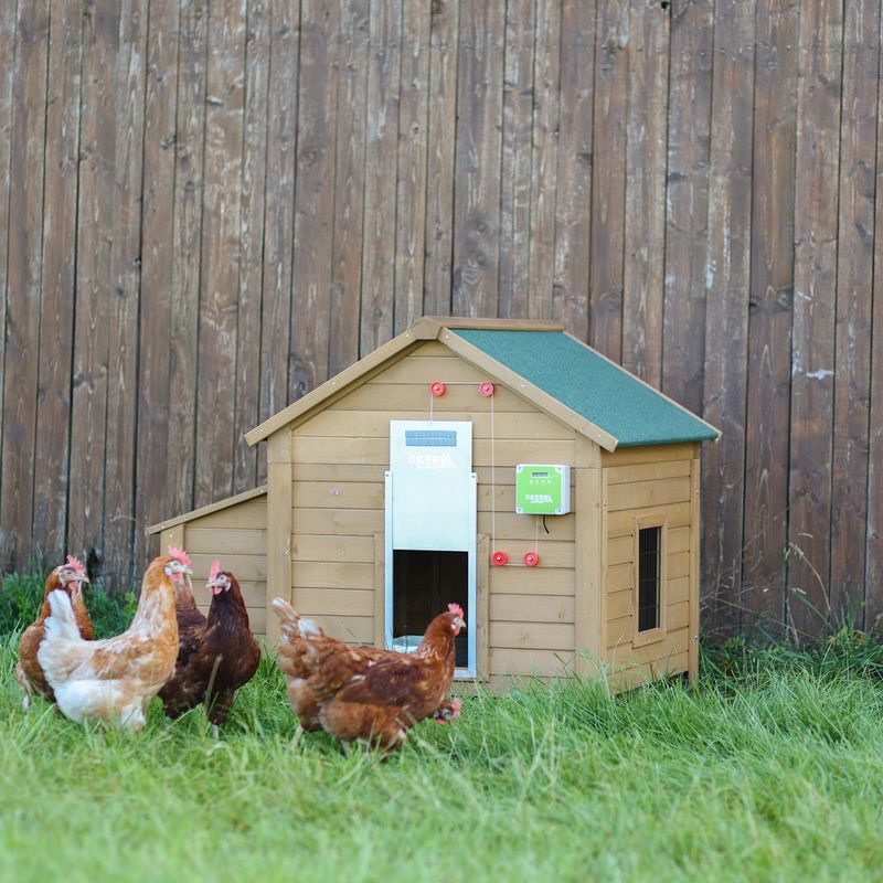 Kerbl Hobbyfarming Automatic Sliding Door for Chicken Coops 40 x 43cm (W x H)