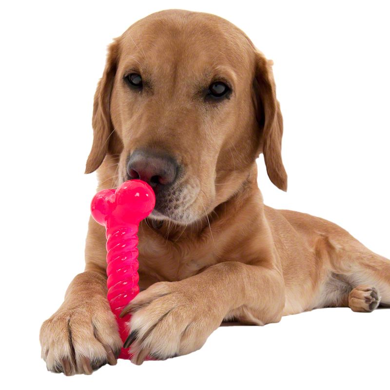 Thermoplastic Rubber Dog Toy Bone approx. 14cm