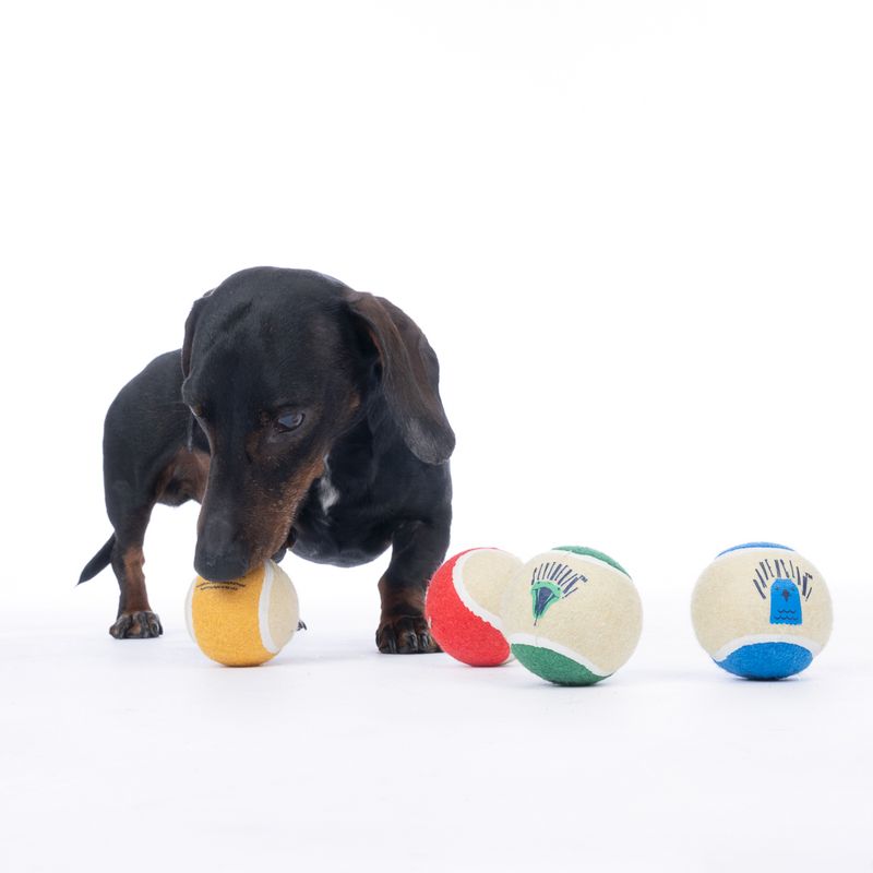 Harry Potter Hogwarts Tennis Ball Set 4 Balls (diameter 6.3cm each)