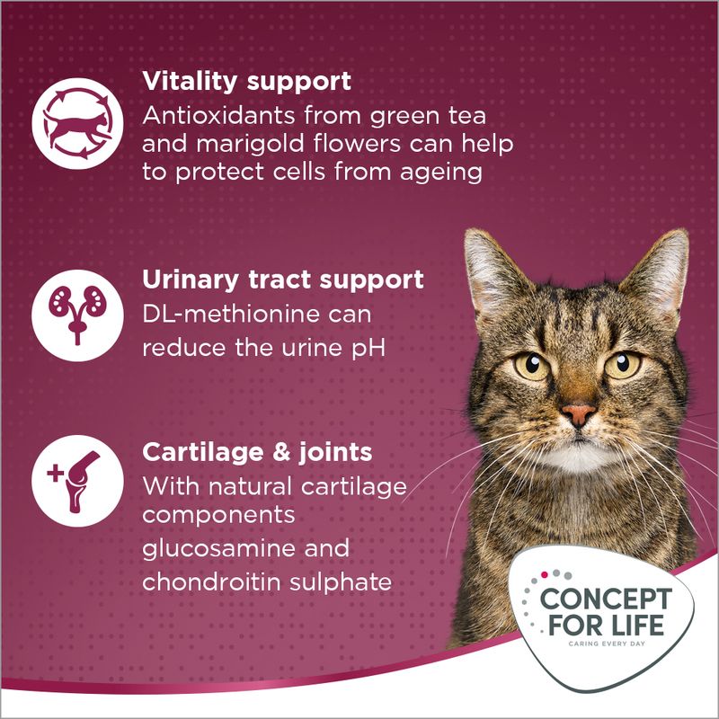 Concept for Life All Cats 10+ 400g