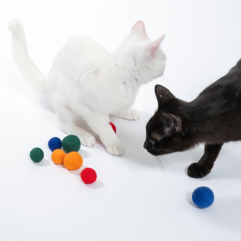 zooplus Basics Felt Balls Cat Toy Set Set of 8 (4 x diameter 4cm, 4 x diameter 3cm)