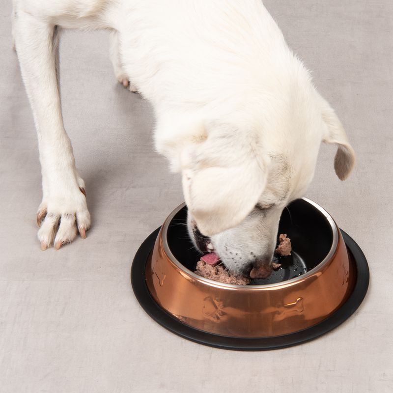 Modern Living Maipu Food Bowl 200ml (15.5cm diameter)