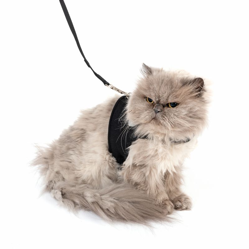 TIAKI Comfy cat harness with lead Abdominal girth: 28 - 38 cm