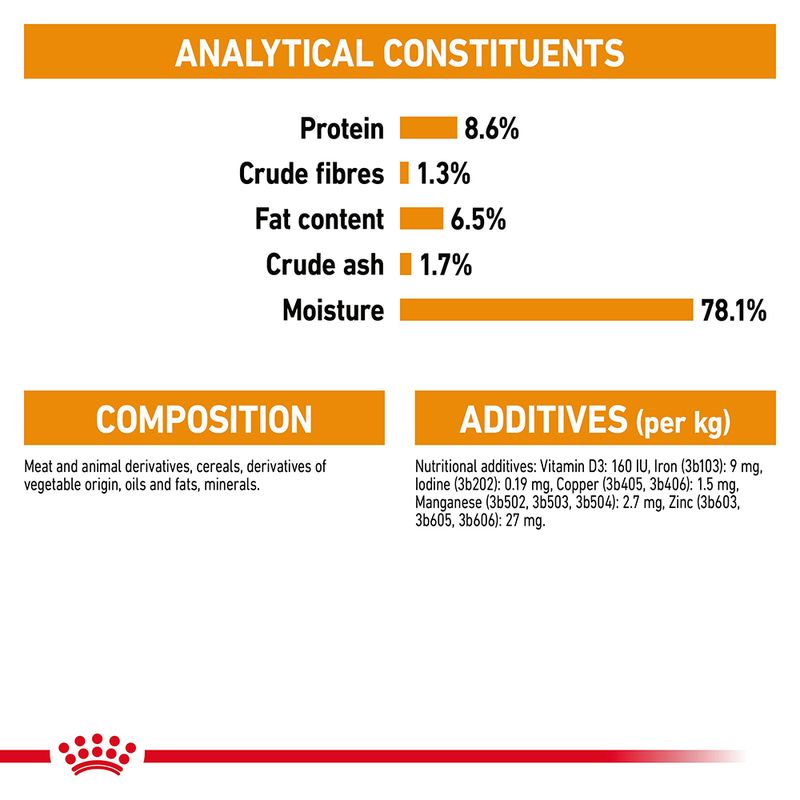 Royal Canin Coat Care Loaf 12 x 85g