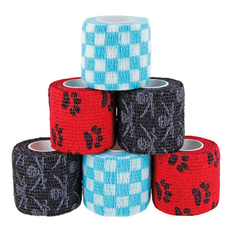 PAWS & PATCH Adhesive Plasters Pirate Box, 6 Rolls