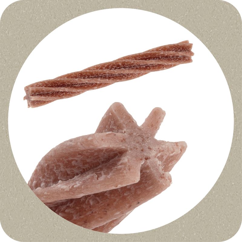 Ferplast Dental Care Snack Fusilli Ascophillum - 6 pieces