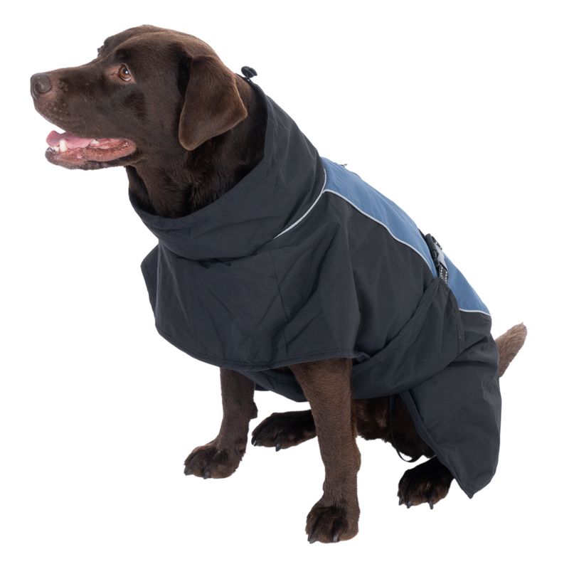 TIAKI Softshell Dog Coat - Steel approx. 30cm (Back Length)