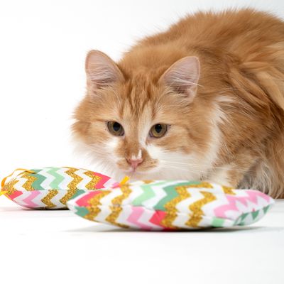 TIAKI Zig Zag Catnip Cushion Set of 2